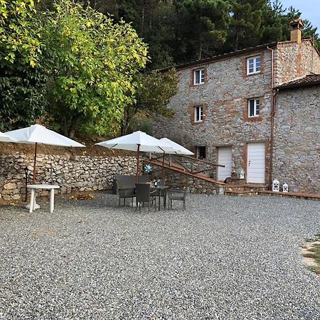 Апартаменты Agriturismo Le Vallilunghe Лукка Экстерьер фото