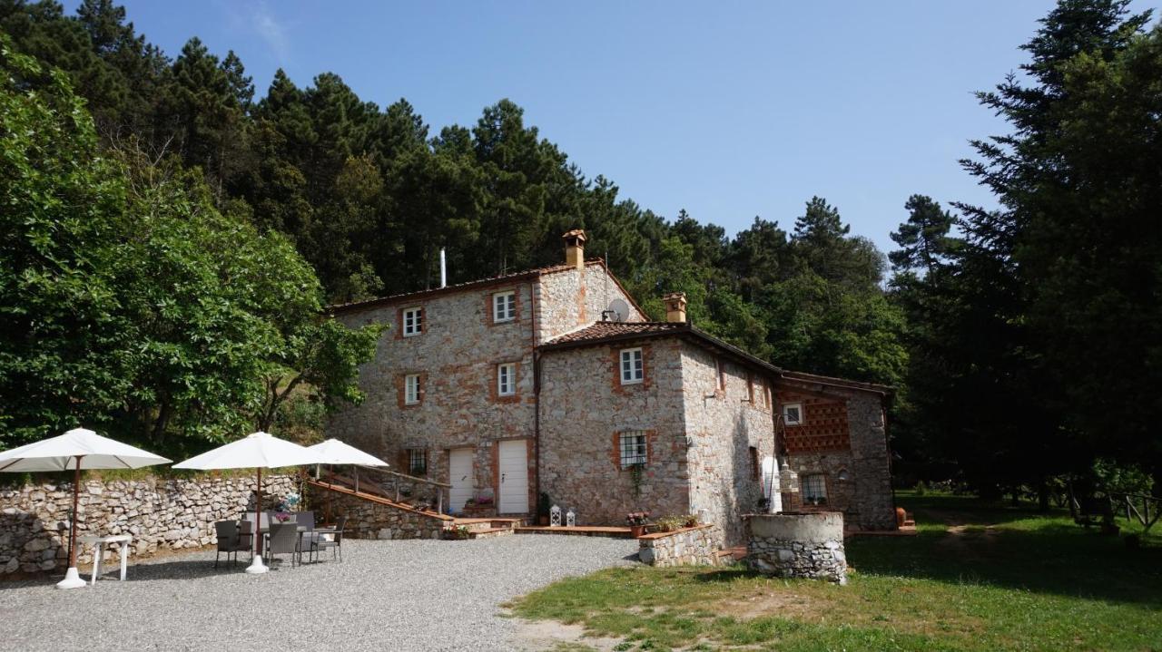 Апартаменты Agriturismo Le Vallilunghe Лукка Экстерьер фото