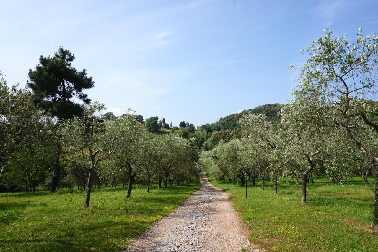 Апартаменты Agriturismo Le Vallilunghe Лукка Экстерьер фото