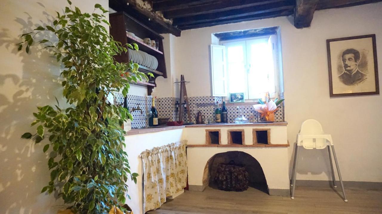 Апартаменты Agriturismo Le Vallilunghe Лукка Экстерьер фото