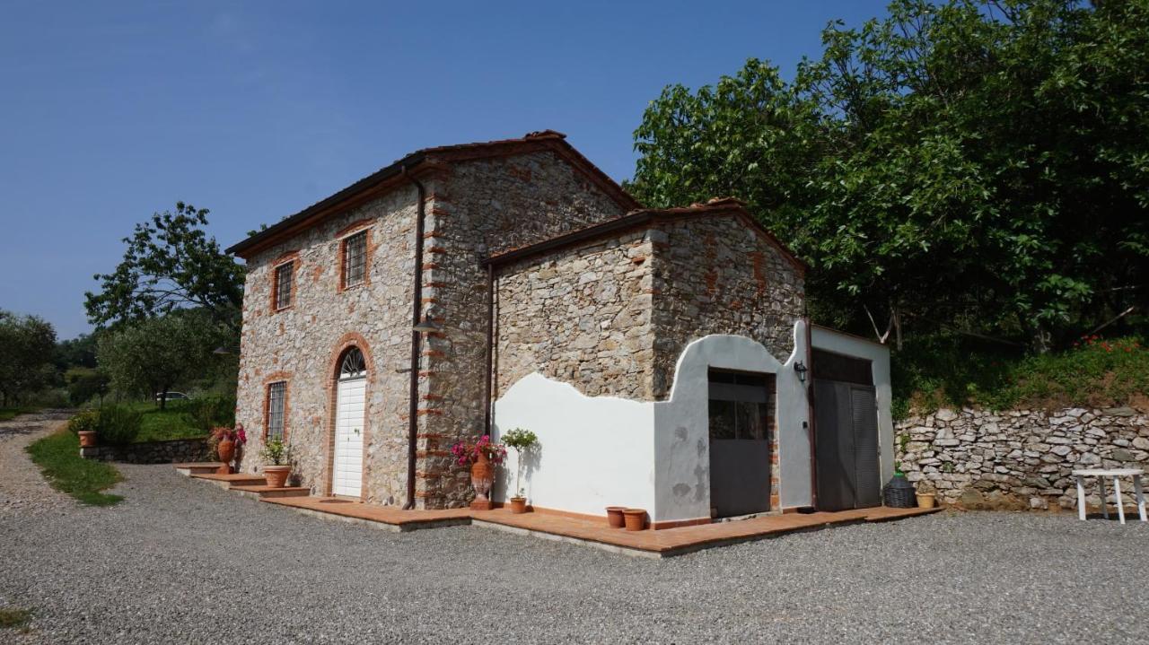 Апартаменты Agriturismo Le Vallilunghe Лукка Экстерьер фото